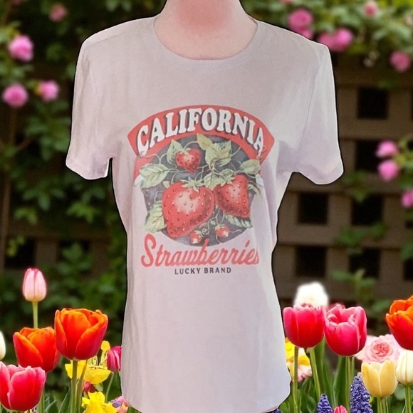 Lucky Brand New California Strawberries Graphic Tee Shirt SM Color Orchid Hush - Picture 7 of 8